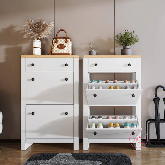 MESAM Modern Shoe Cabinet With Drawers